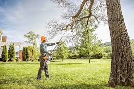 How Our Tree Care Process Works  in  Smithfield, NC